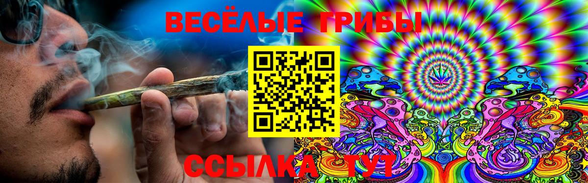 Псилоцибиновые грибы GOLDEN TEACHER Йошкар-Ола